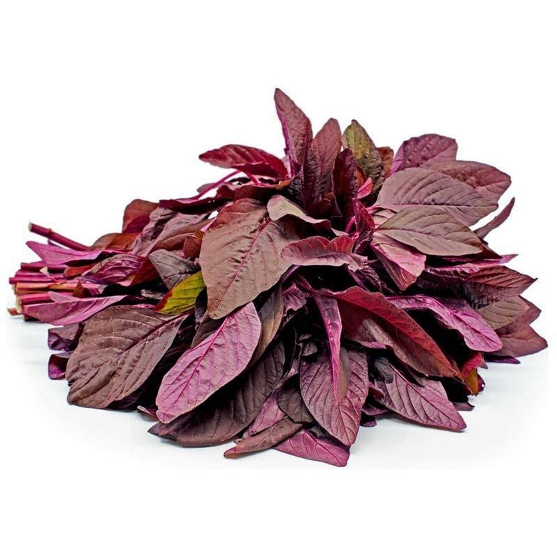 RED AMARANT