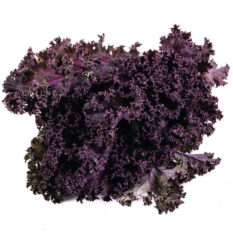 RED KALE YAPRAĞI