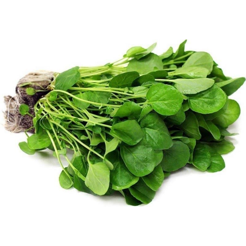 WATERCRESS (SU TERESİ) - Detay 2