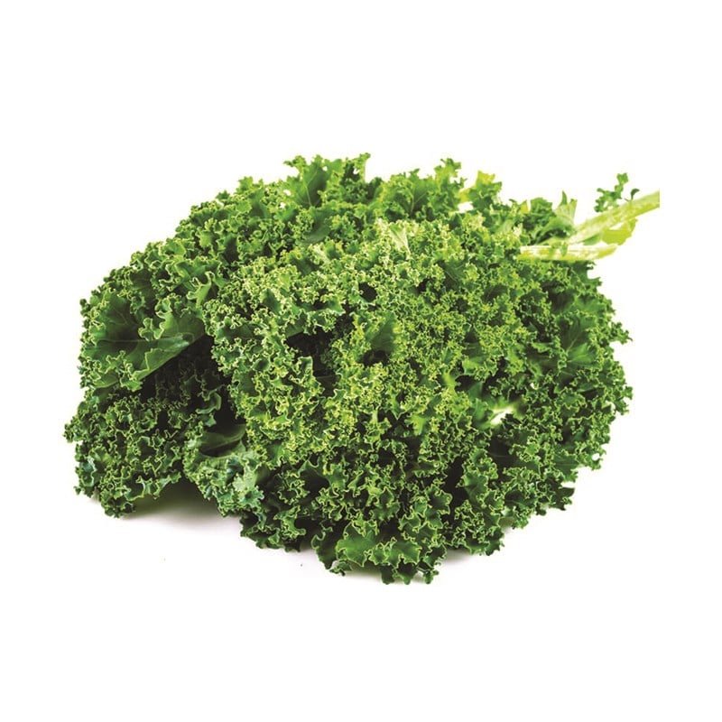 GREEN KALE YAPRAĞI