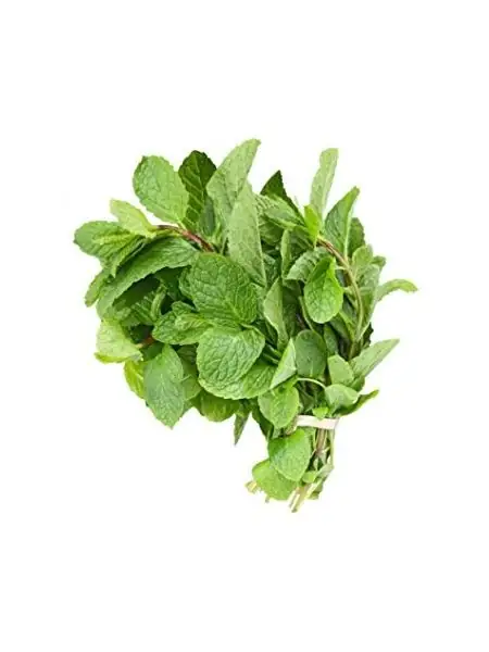 MINT NANE TOHUMU