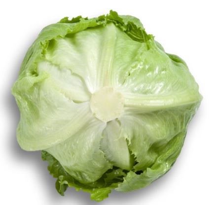 SUMARNAS ICEBERG MARUL
