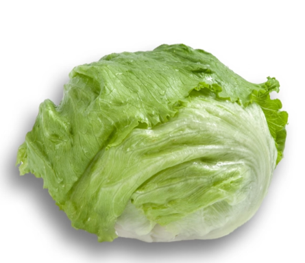 SUMARNAS ICEBERG MARUL - Detay 3