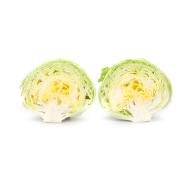 SANTARINAS ICEBERG MARUL - Detay 3