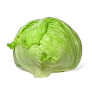 MECANA ICEBERG MARUL